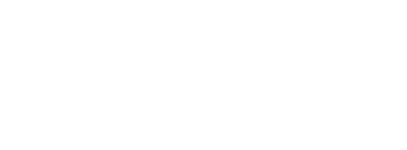 RinLit